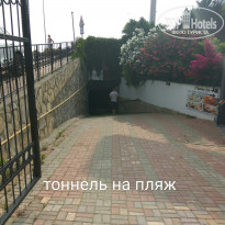 фото из отзыва ID 1750615