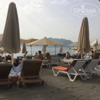 фото из отзыва ID 1750633