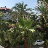 фото из отзыва ID 1750633