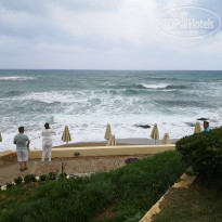 фото из отзыва ID 1750679