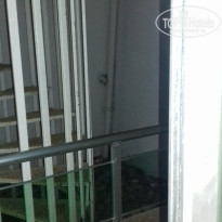 фото из отзыва ID 1750743