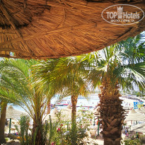 фото из отзыва ID 1750862