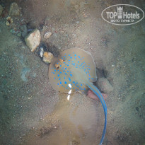 фото из отзыва ID 1750862