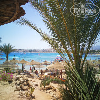 фото из отзыва ID 1750862