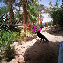 фото из отзыва ID 1750862