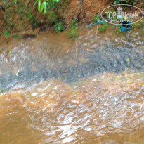 фото из отзыва ID 1750874