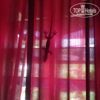 фото из отзыва ID 1750874