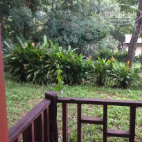 фото из отзыва ID 1750874