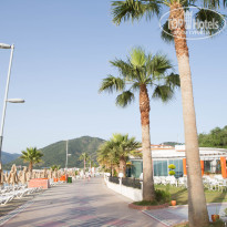 фото из отзыва ID 1751010