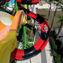 фото из отзыва ID 1751055