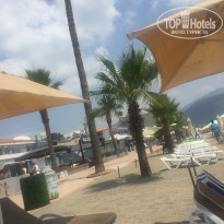 фото из отзыва ID 1751119