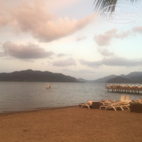 фото из отзыва ID 1751119