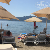 фото из отзыва ID 1751119