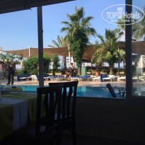 фото из отзыва ID 1751155