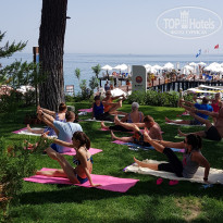 фото из отзыва ID 1751196