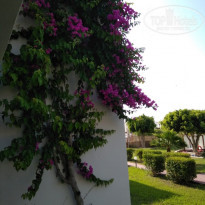 фото из отзыва ID 1751293