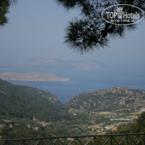 фото из отзыва ID 1751323