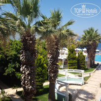 фото из отзыва ID 1751393