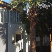 фото из отзыва ID 1751393