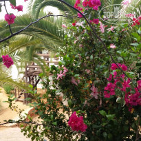 фото из отзыва ID 1751437