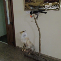 фото из отзыва ID 1751548