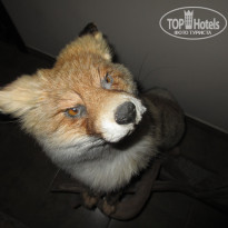 фото из отзыва ID 1751548