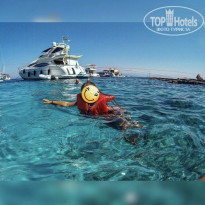 фото из отзыва ID 1751625