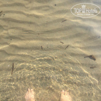 фото из отзыва ID 1751625