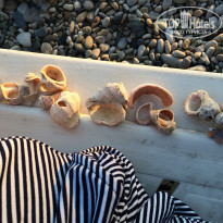 фото из отзыва ID 1751644