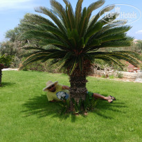 фото из отзыва ID 1750254