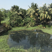 фото из отзыва ID 1751788