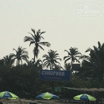 фото из отзыва ID 1751788