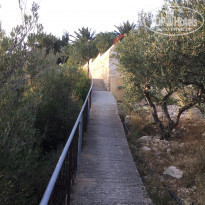 фото из отзыва ID 1751789