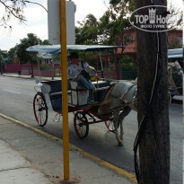 фото из отзыва ID 1751849