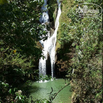 фото из отзыва ID 1751849