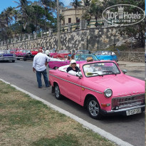 фото из отзыва ID 1751849