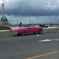 фото из отзыва ID 1751849