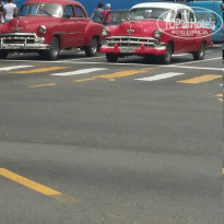 фото из отзыва ID 1751849