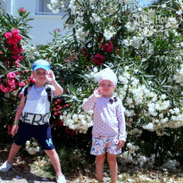 фото из отзыва ID 1751402