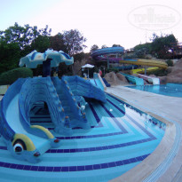 фото из отзыва ID 1752084