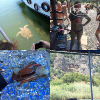 фото из отзыва ID 1752122