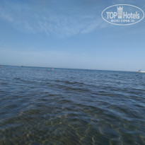 фото из отзыва ID 1752187