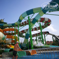 фото из отзыва ID 1752225