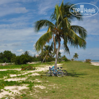 фото из отзыва ID 1752270