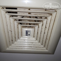 фото из отзыва ID 1752345