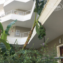 фото из отзыва ID 1752381