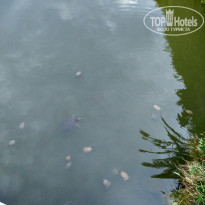 фото из отзыва ID 1752459