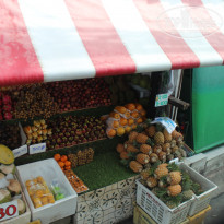 фото из отзыва ID 1752511