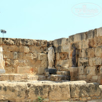 фото из отзыва ID 1752564