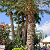 фото из отзыва ID 1752564